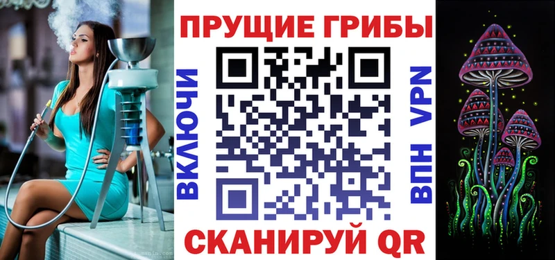 Галлюциногенные грибы мицелий  купить закладку  Невель 